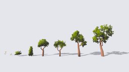 Stylized Trees, bushes and foliage