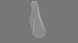 Bridal White Tulle Veil