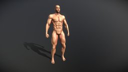 bodymodel