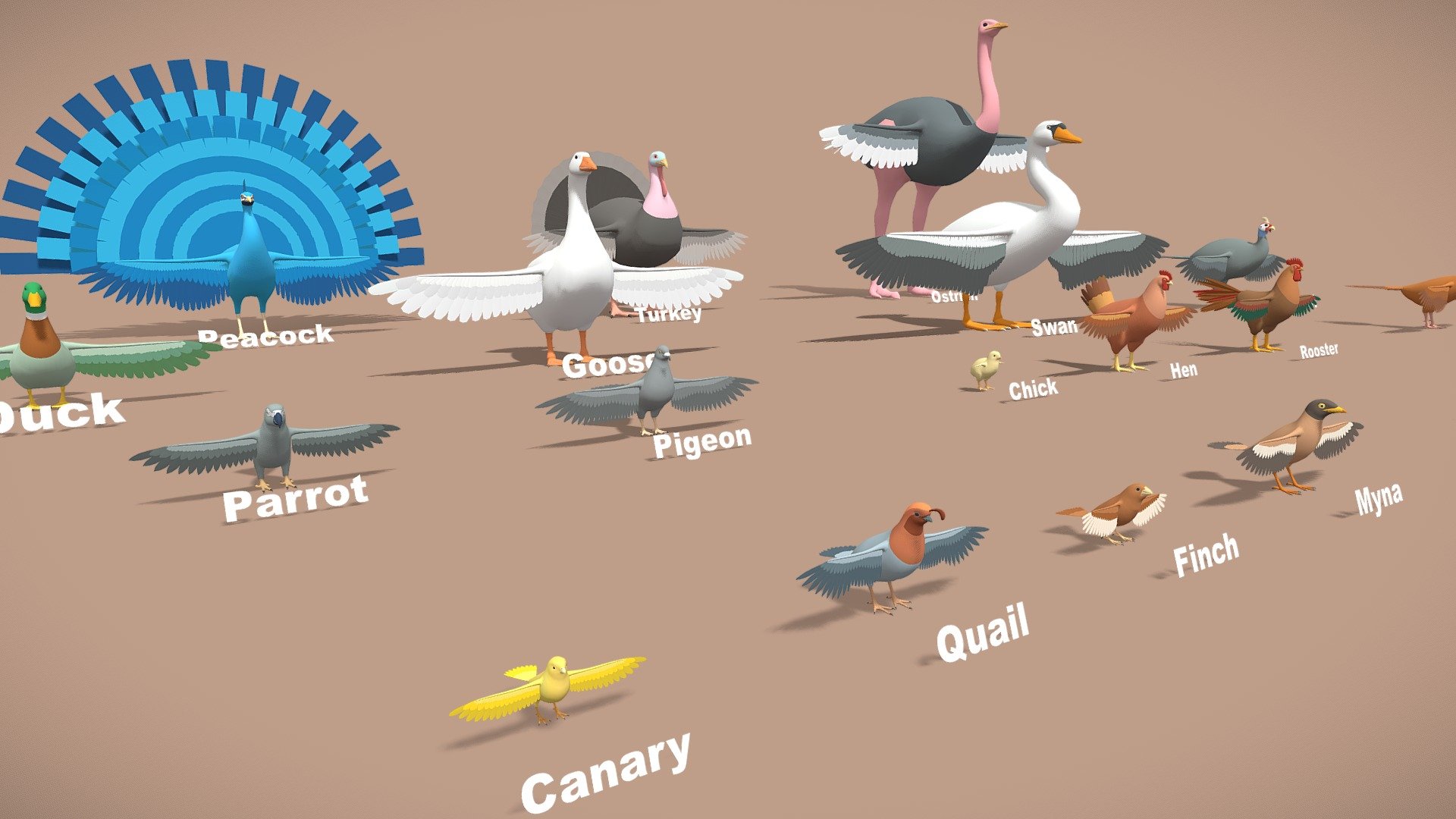 Birds lowpoly 3d model