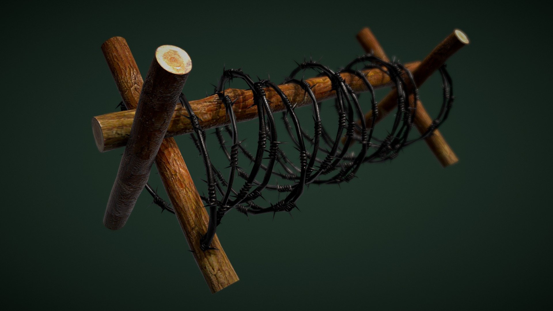 Barbed Wire 3d model