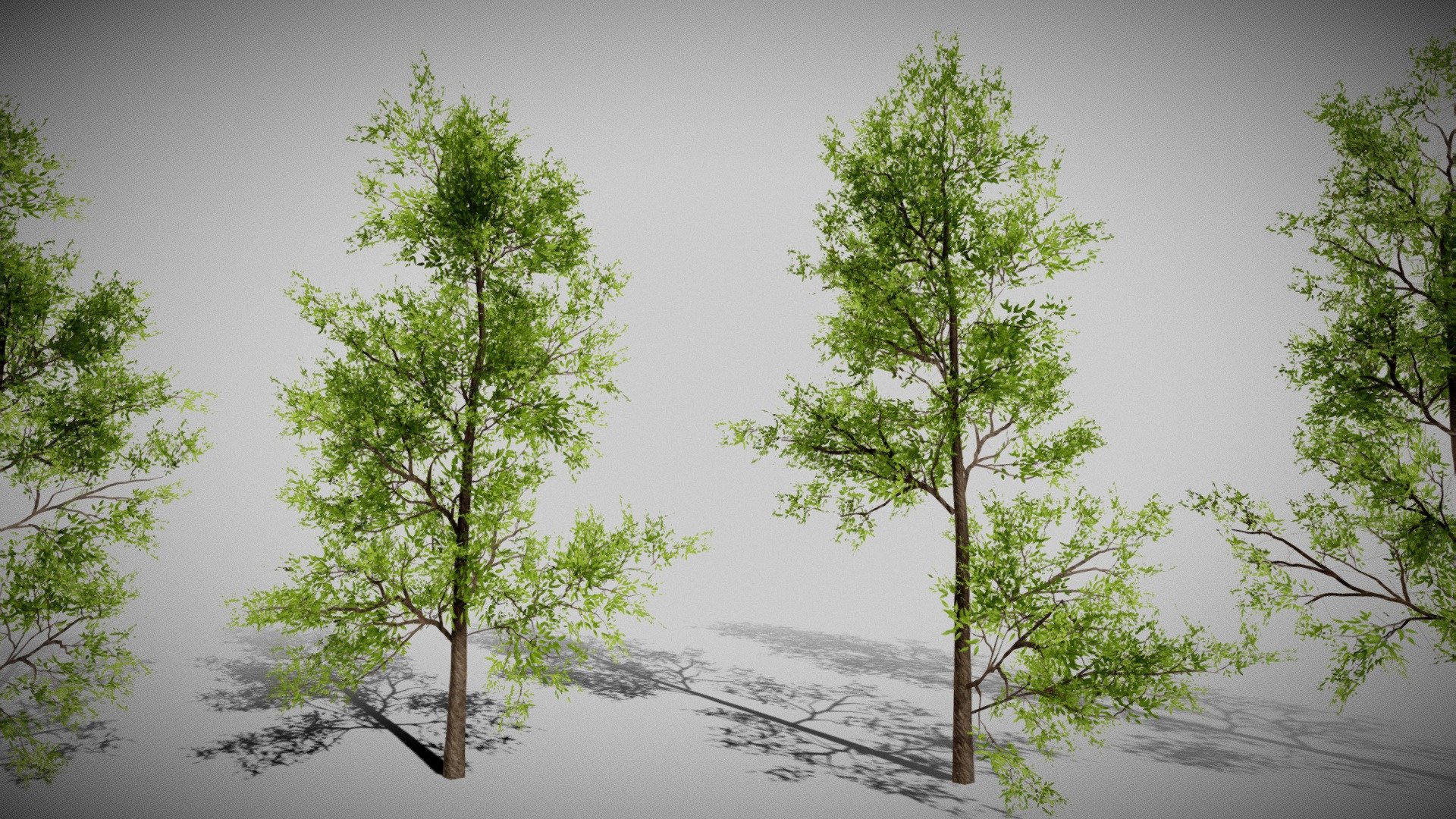 Realistic Low-poly Trees Pack 3d model