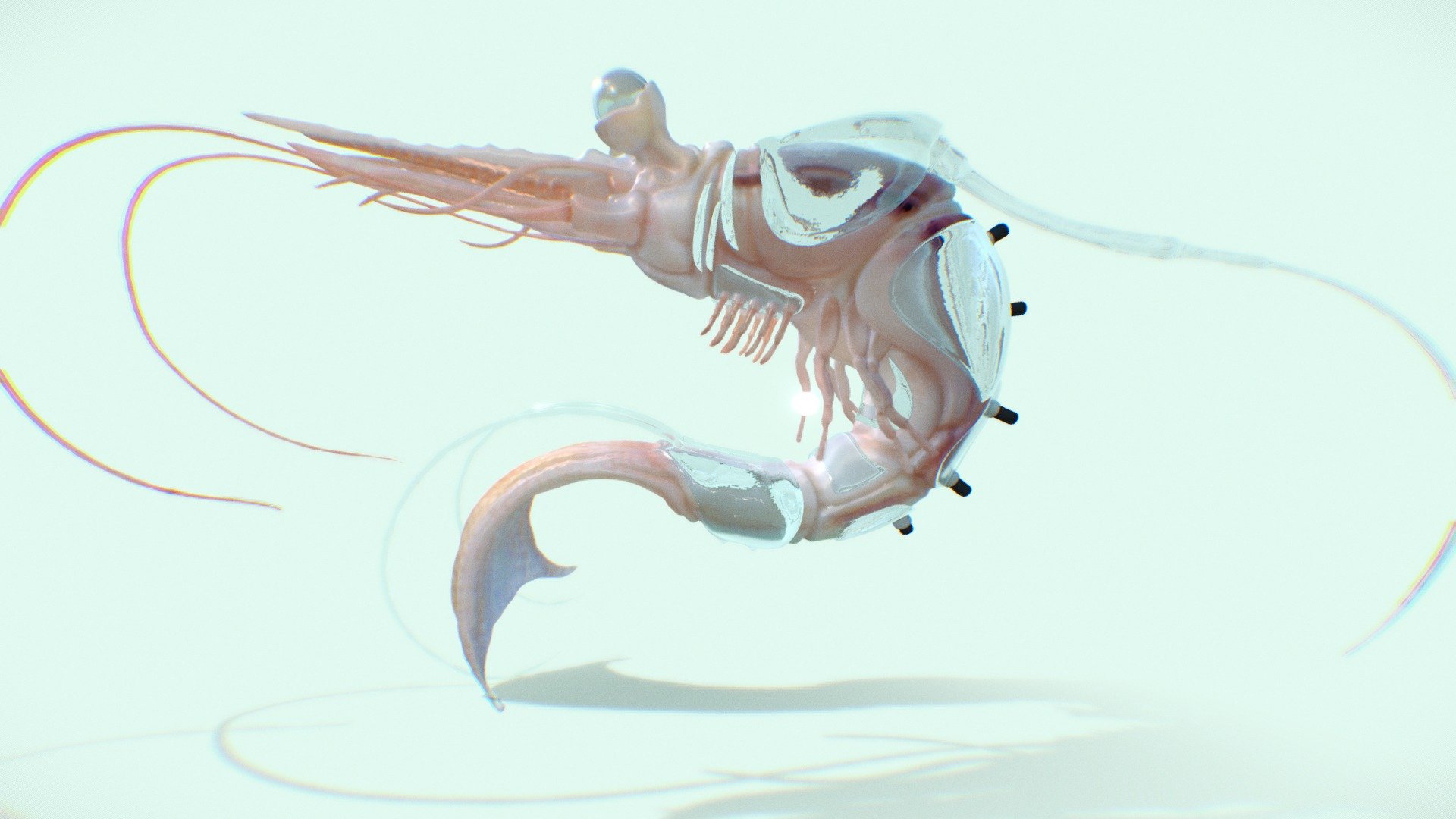 Xenoshrimp 3d model