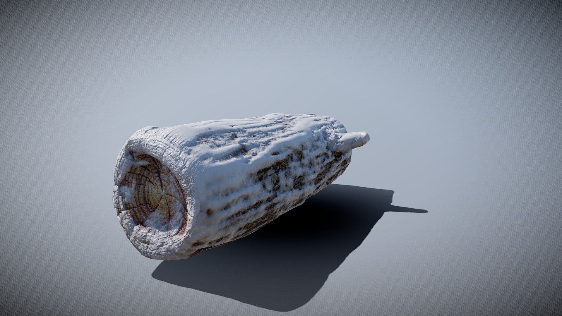 Snowy Log 3d model