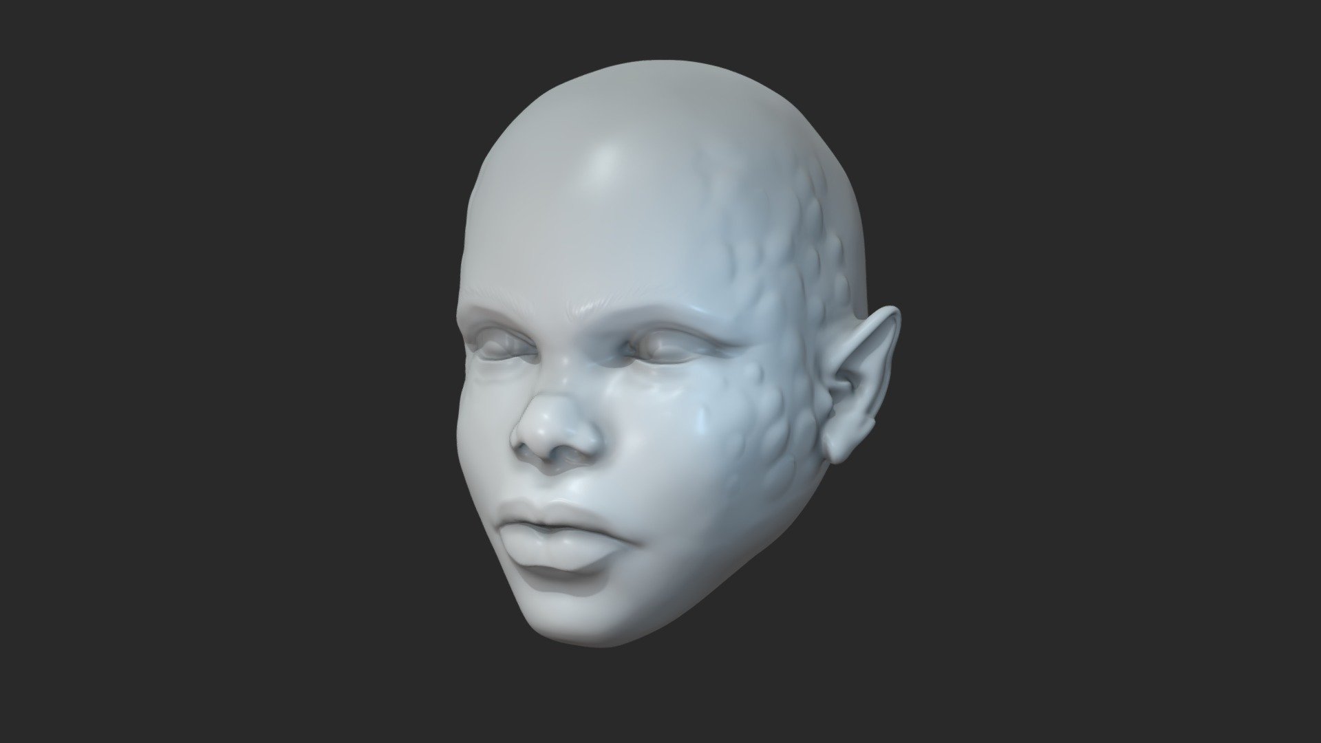 Hybrid Head Sculpt 3d model