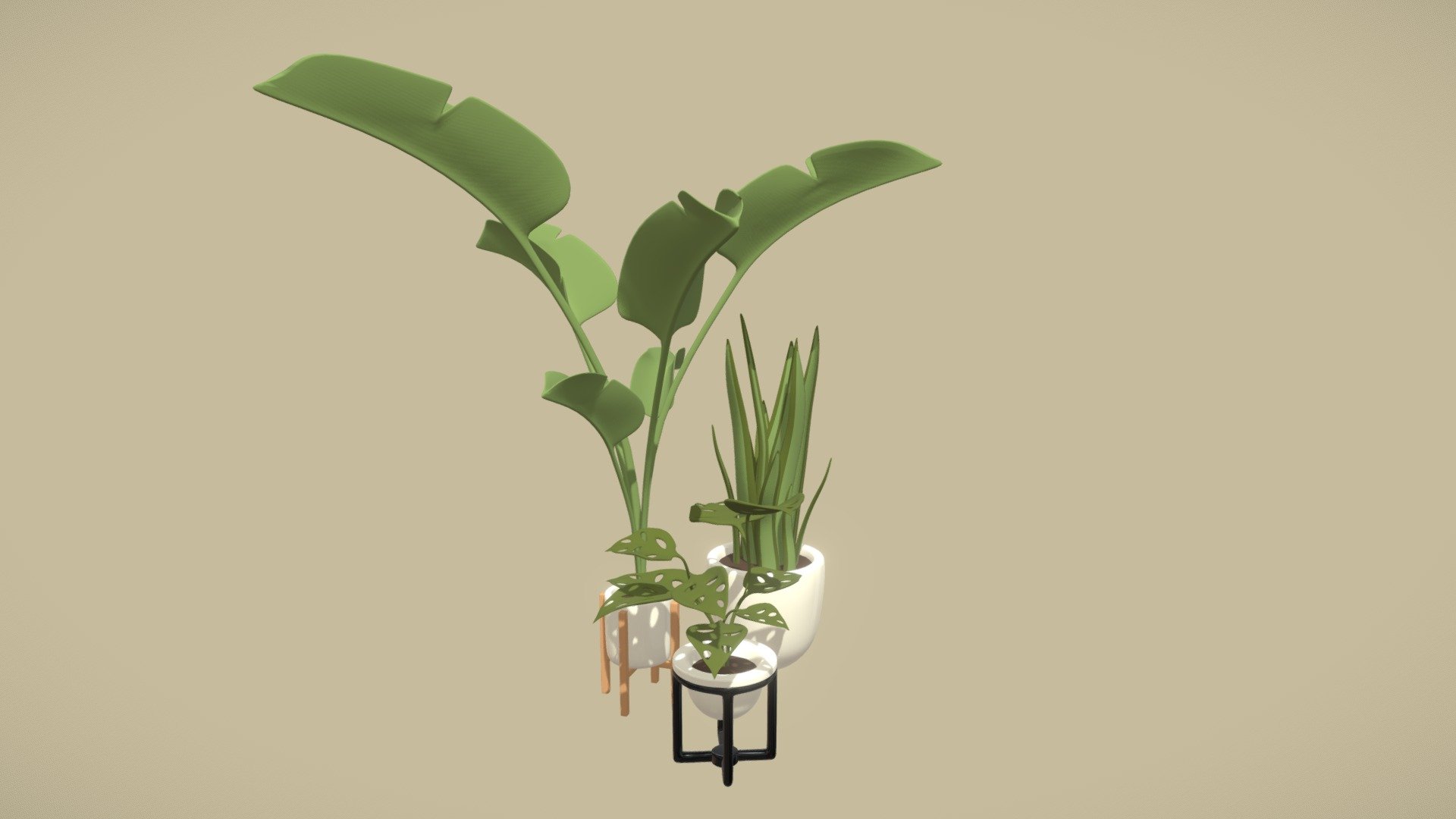 3 cute houseplants 3d model