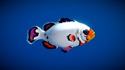 Flurry Clownfish