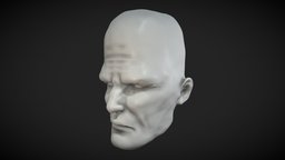 Tall Brain Head Sculpt