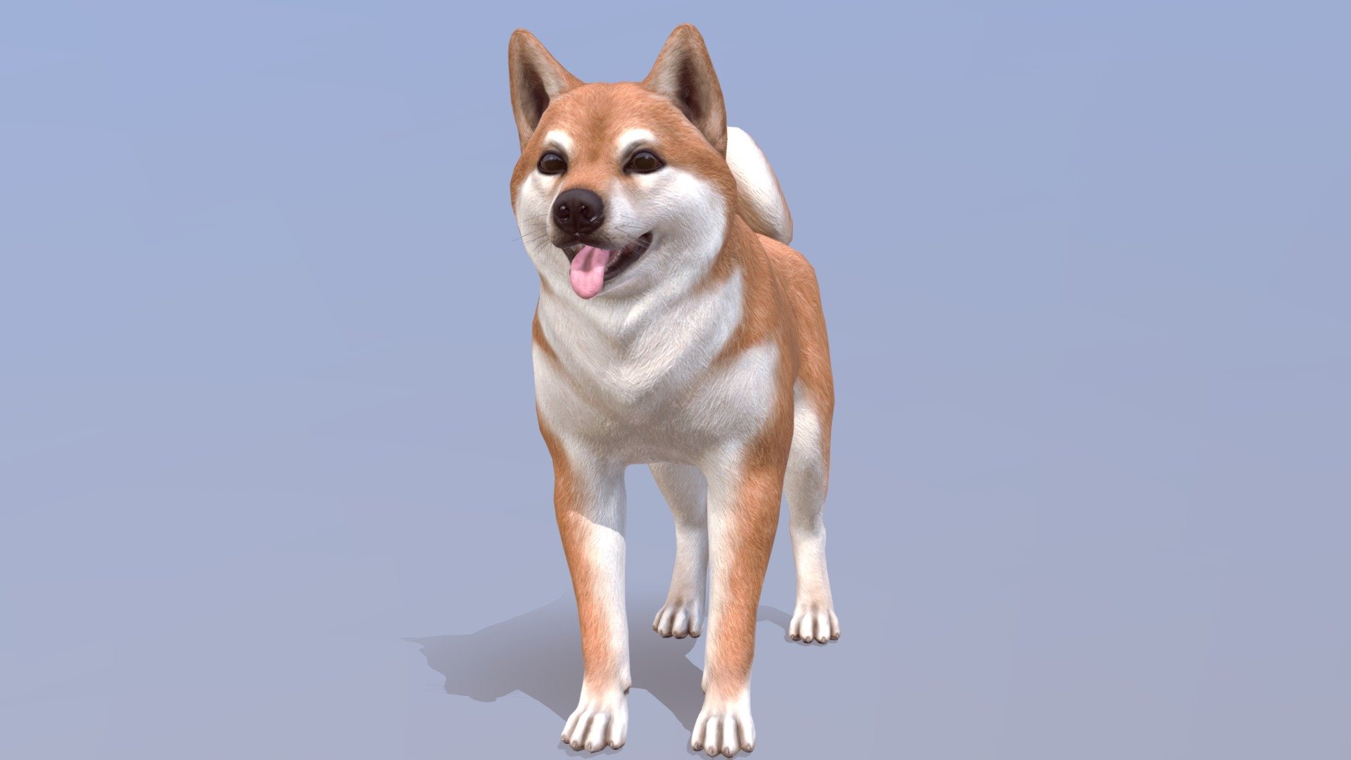 Dog 3d model