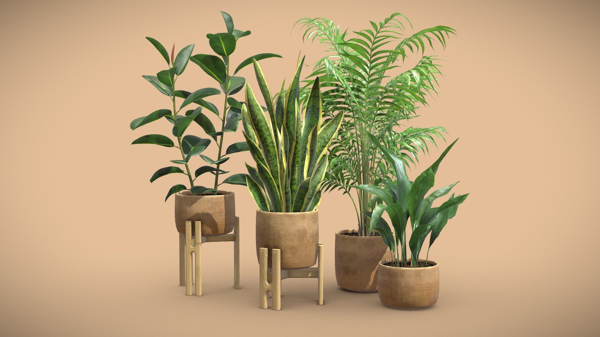 Indoor Plants Pack 65 3d model