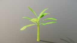 Low Poly Banana Tree