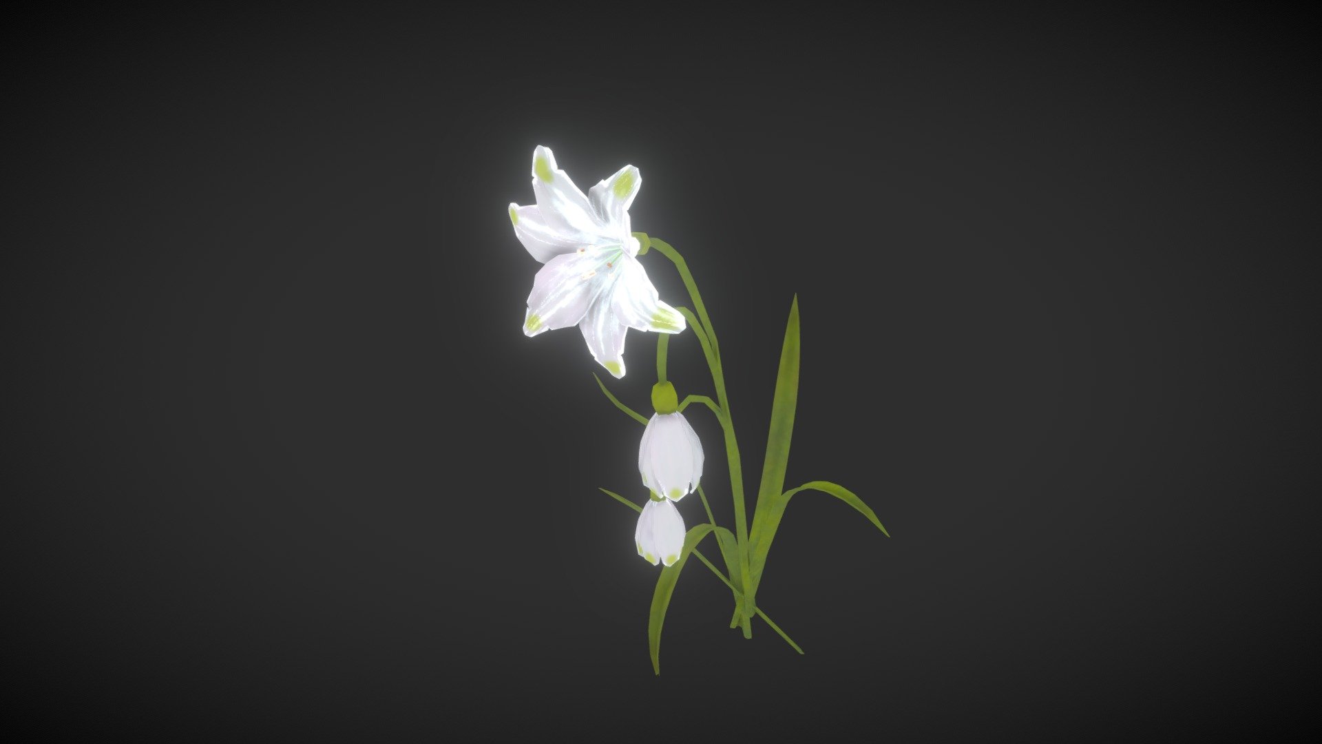 snowdrop 3d model