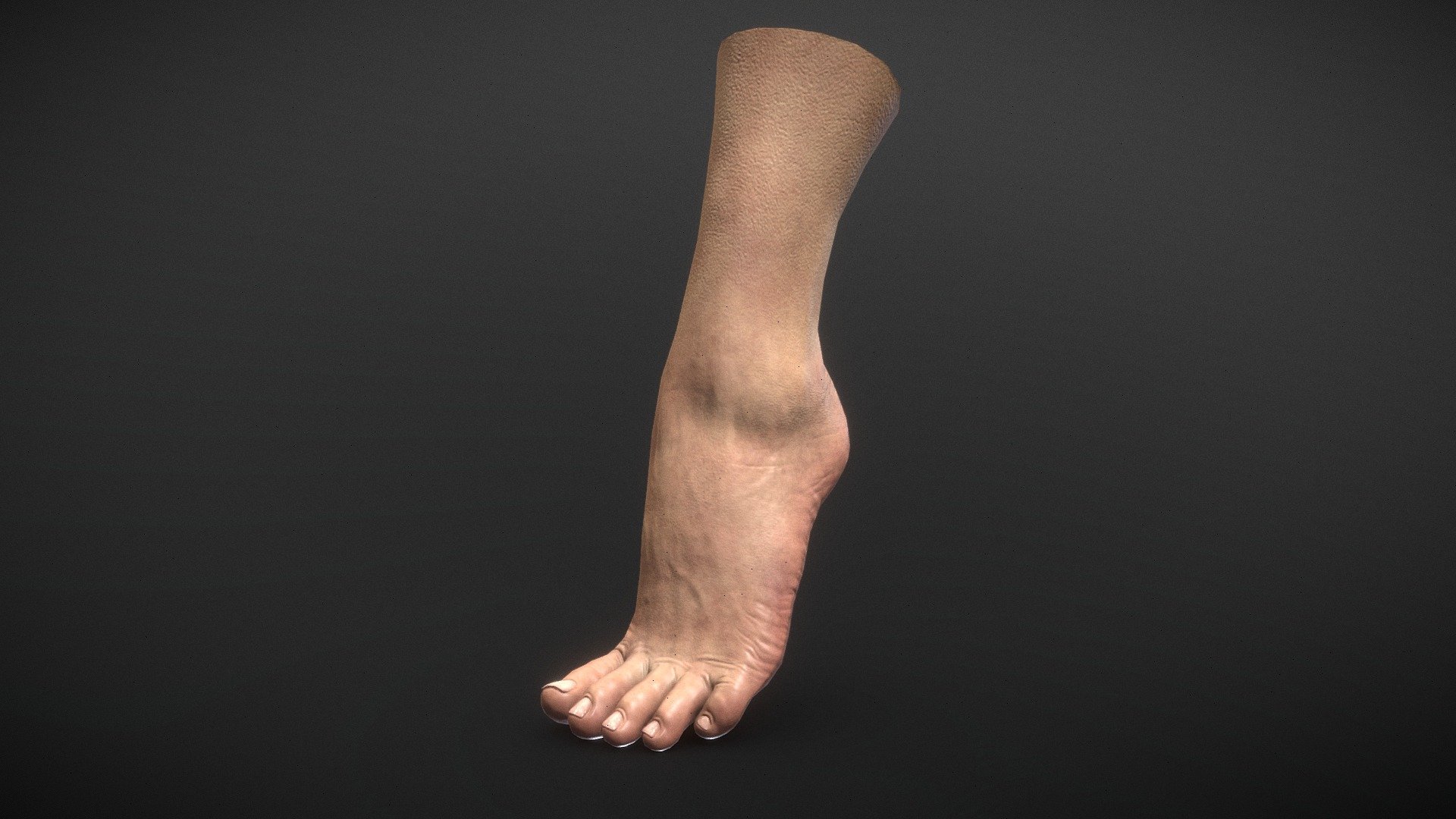 Woman Foot 3d model