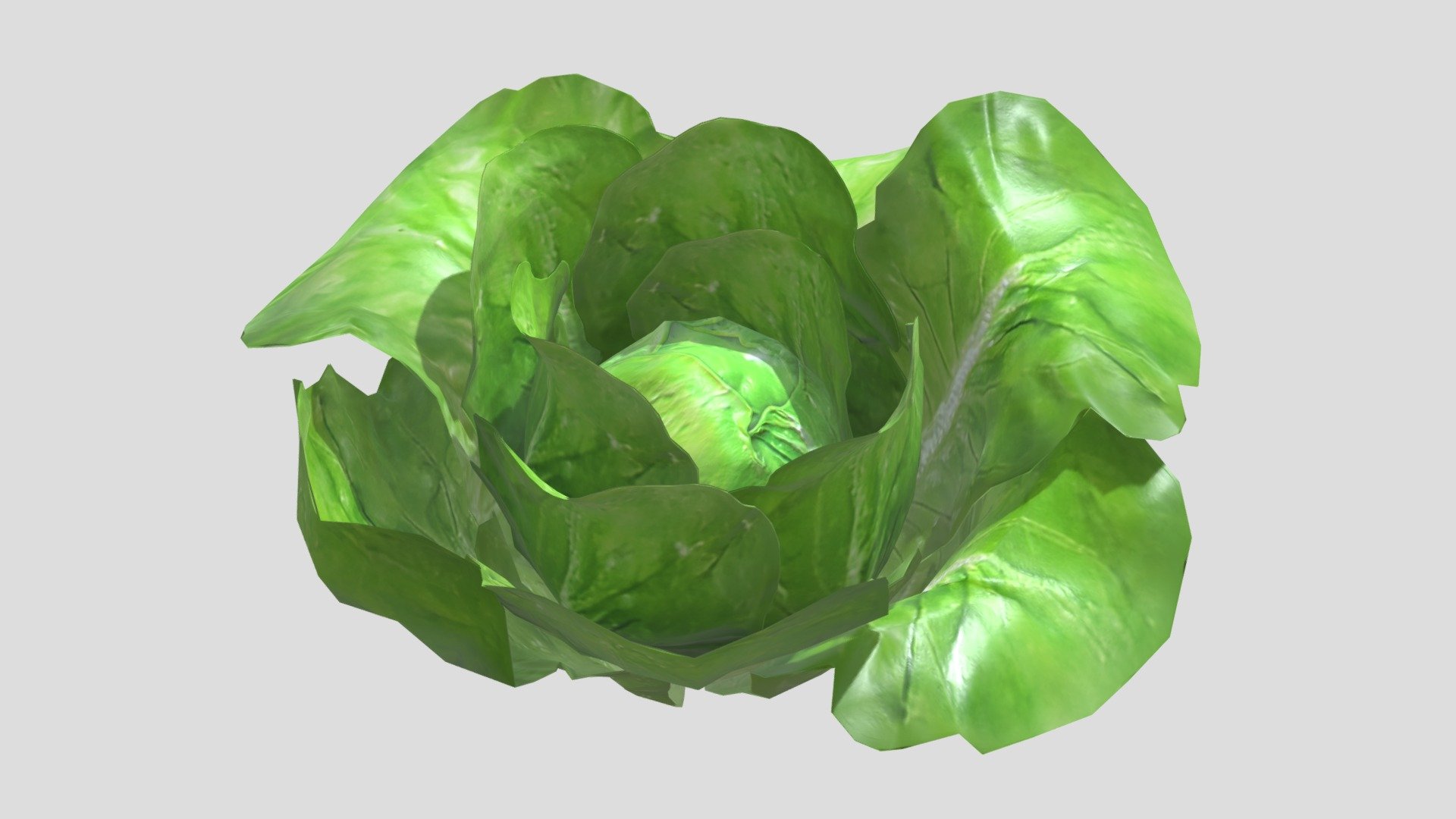 Lettuce Low Poly PBR Realistic 3d model