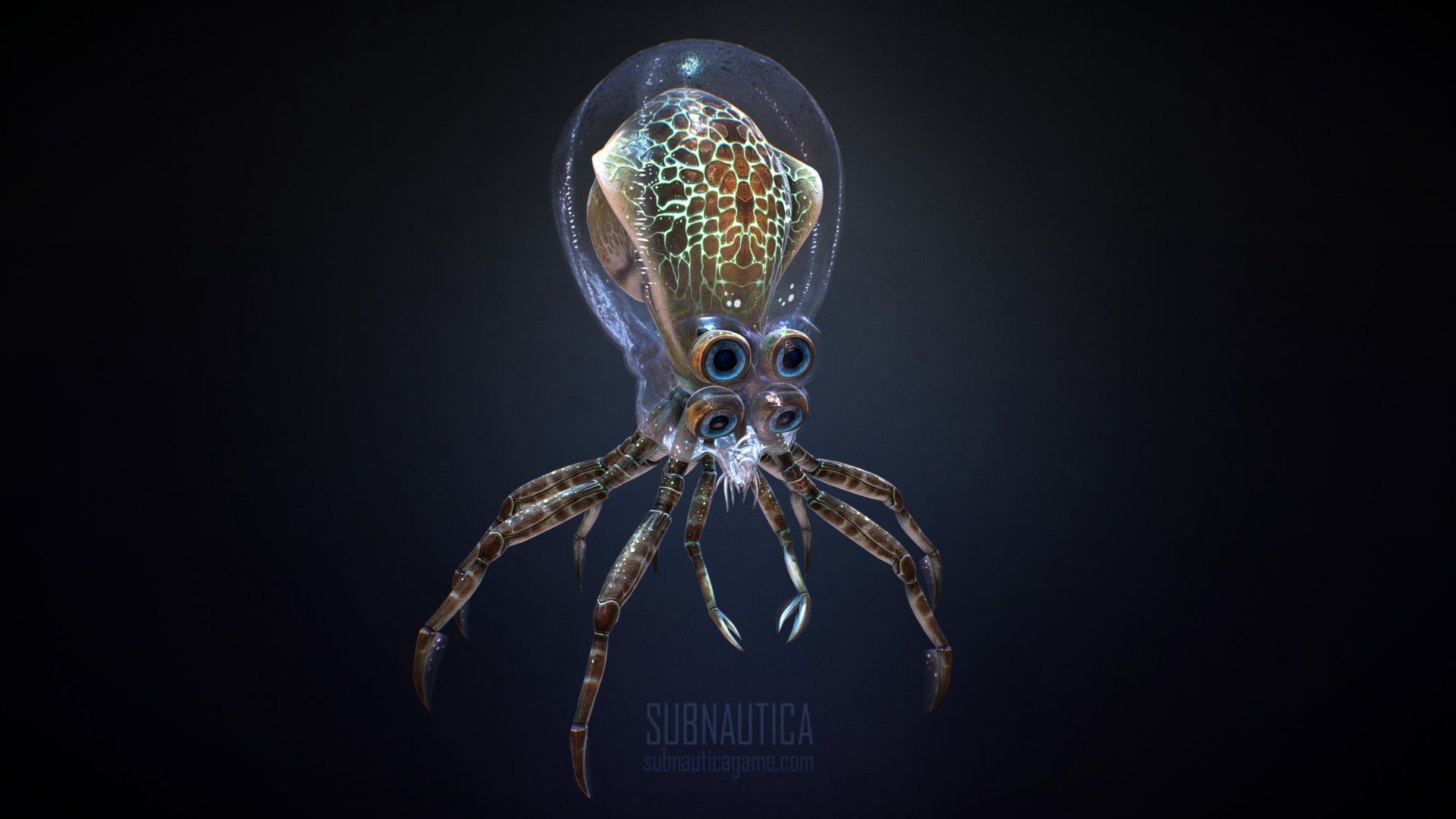 Crabsquid 3d model