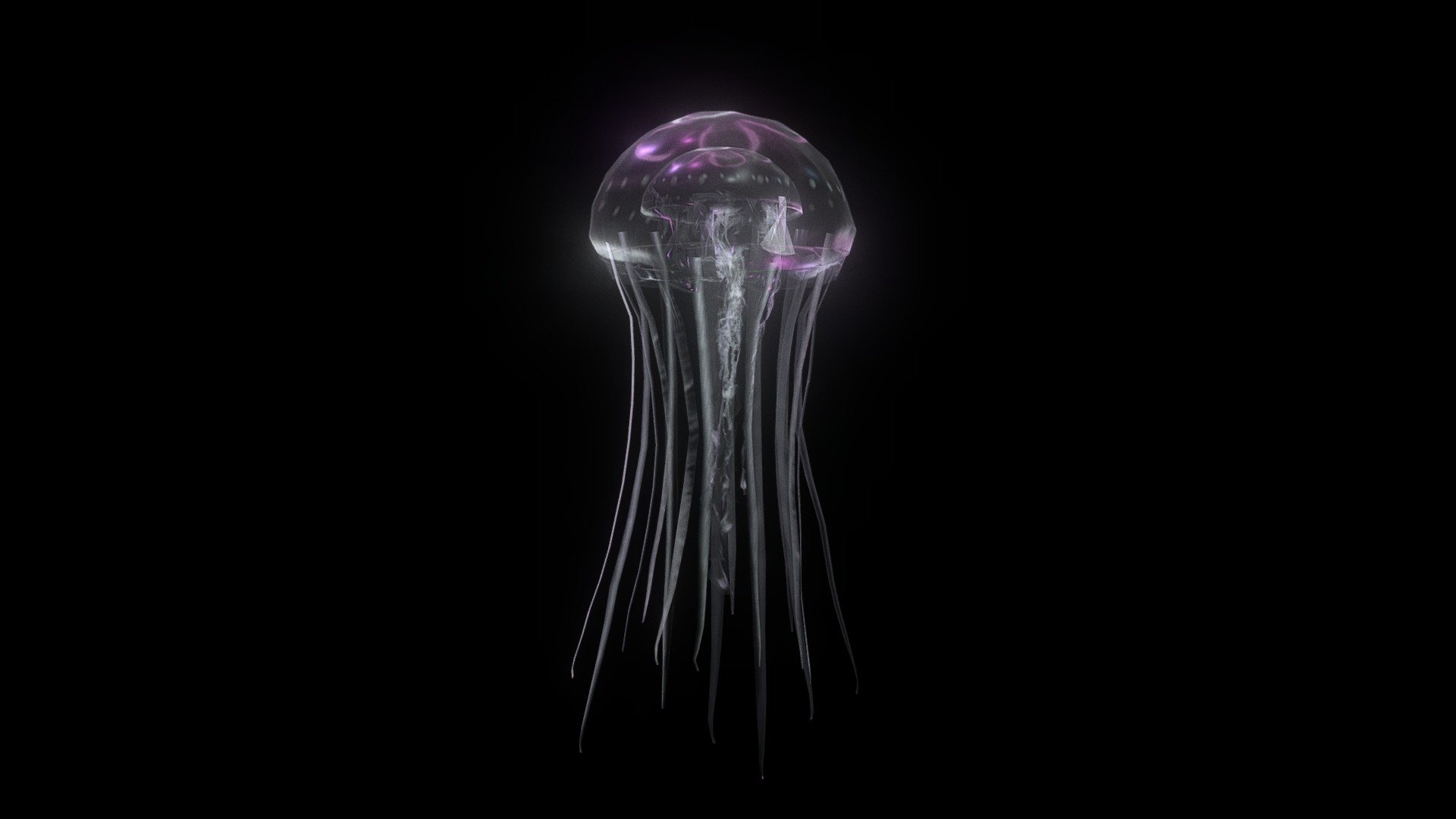 Jellyfish 3d model