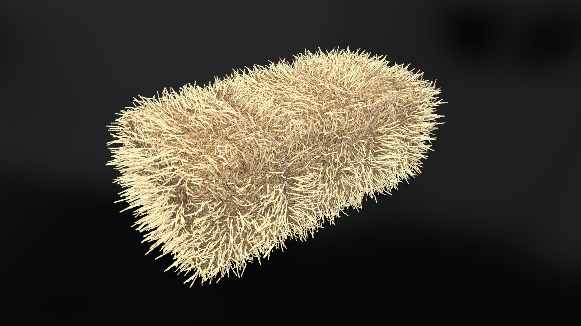 Haybale Rectangular 3d model