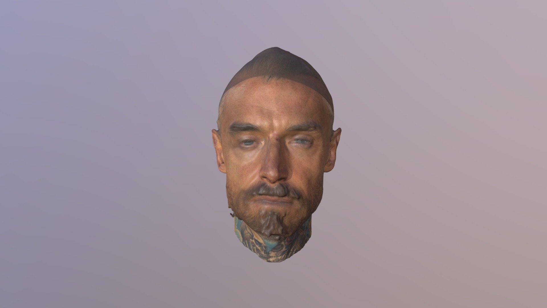 Albert 3D Scan Of Head 3d model