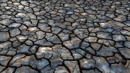 Dry and cracked dark clayey soil