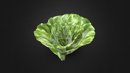 Low Poly Lettuce