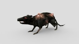 Infected Rat (The Chronicles of Myrtana)