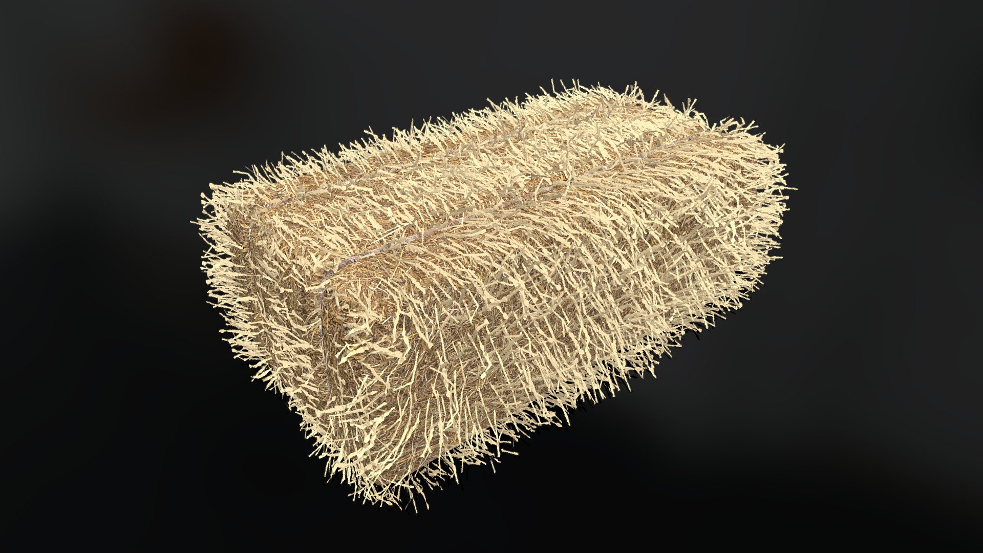 Haybale Rectangular 3d model