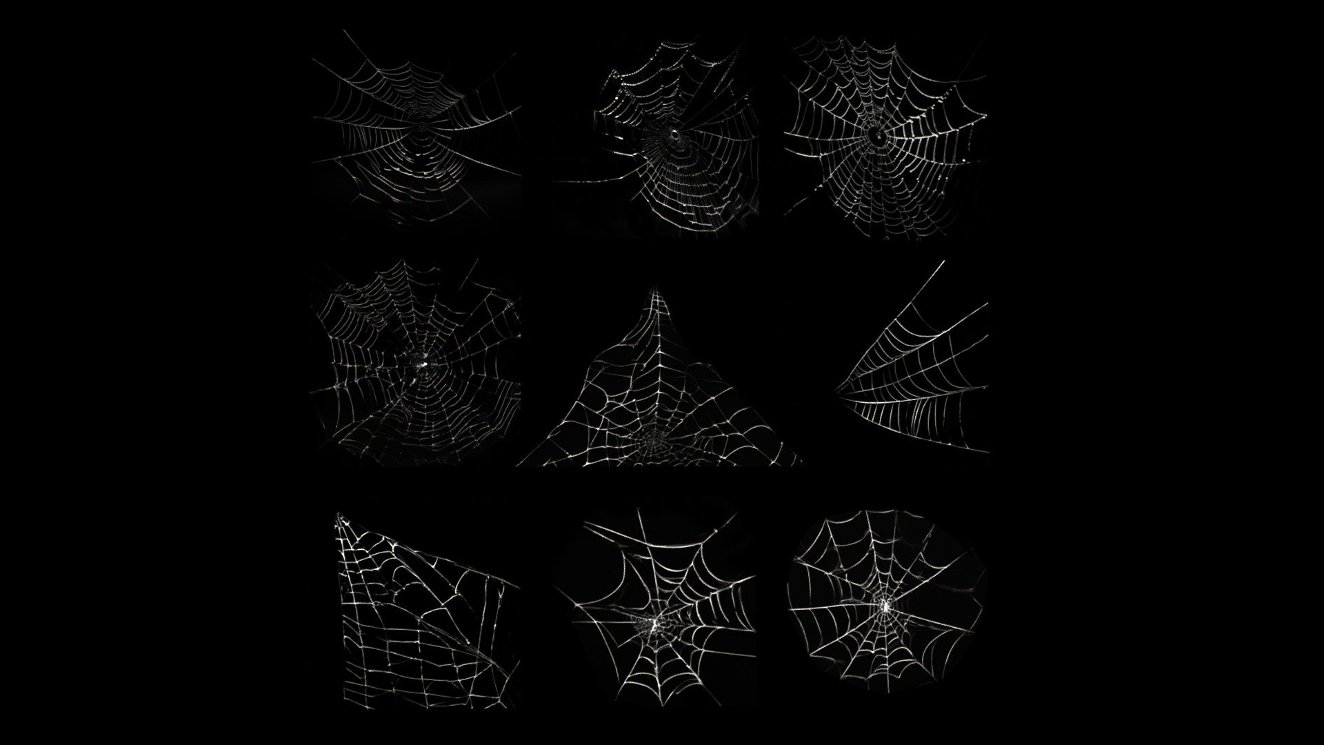 Spider Webs Pack One 3d model