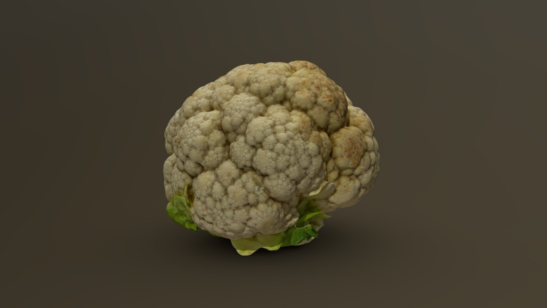 Cauliflower Head 02 3d model