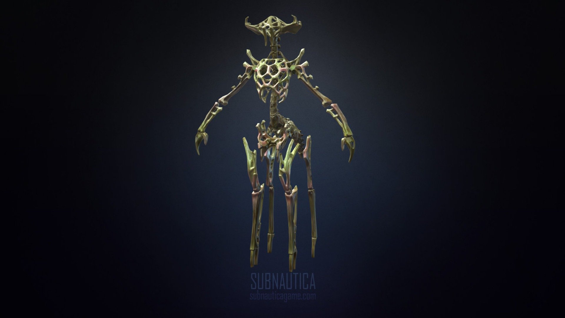 Architect Skeleton 3d model