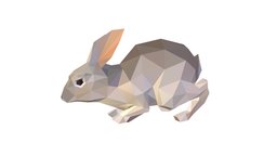 Animated Gray Banny Lowpoly Art Style