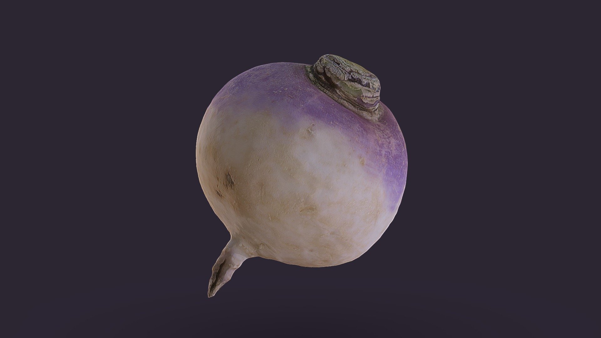 Turnip [20k] 3d model