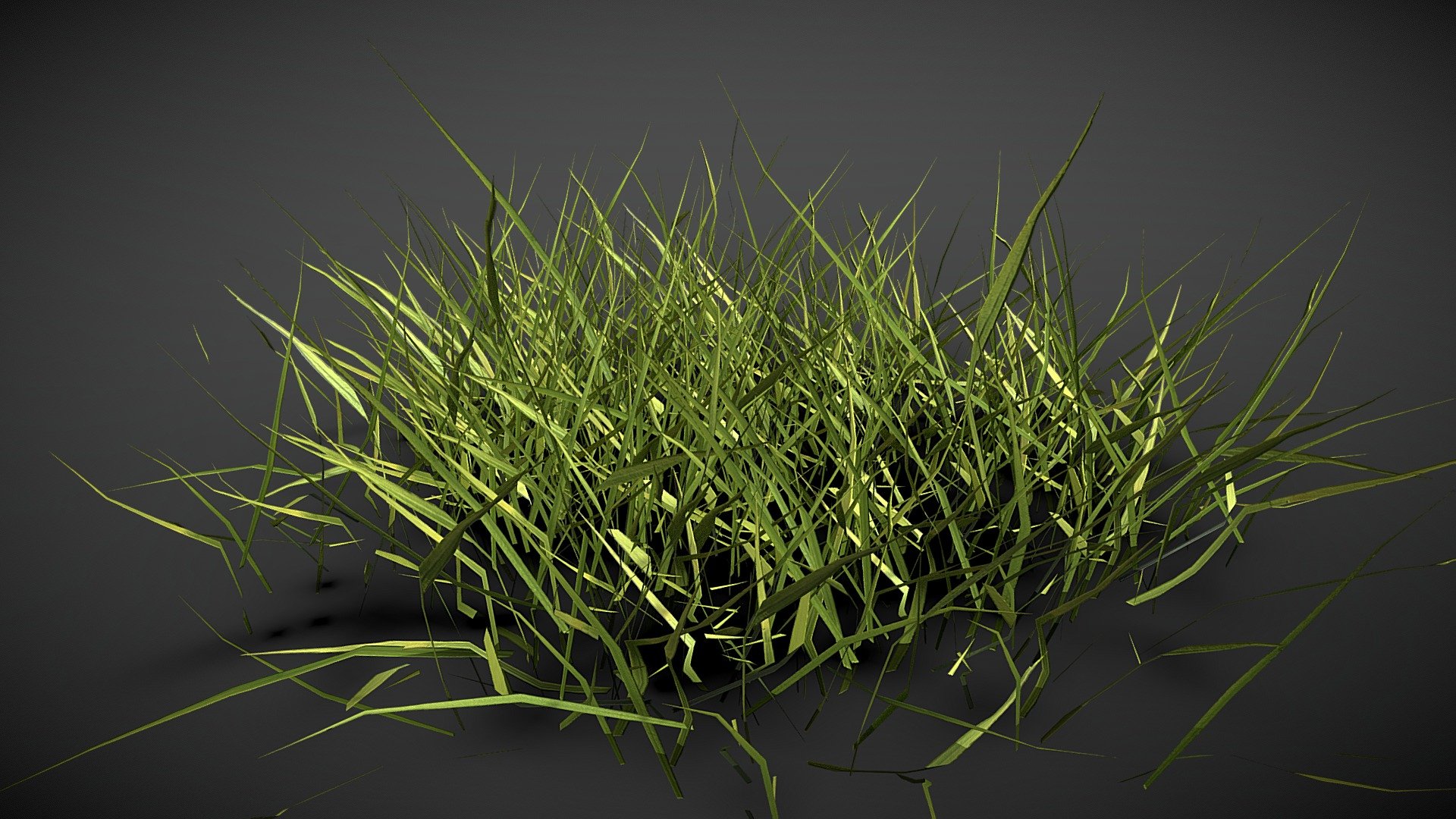 Realistics grass 03 3d model