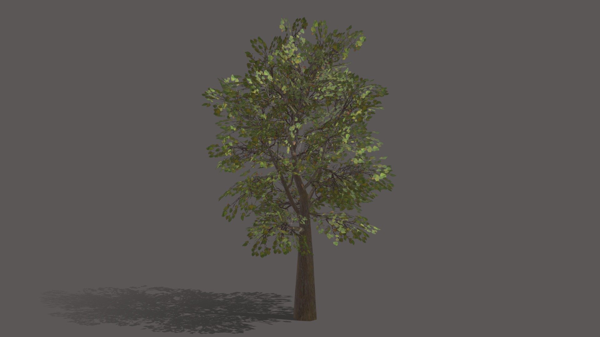 Game ready tree 3d model