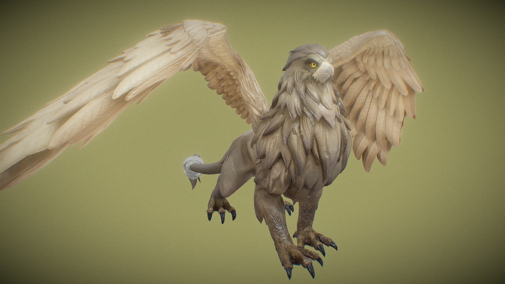 Griffin stage1 3d model