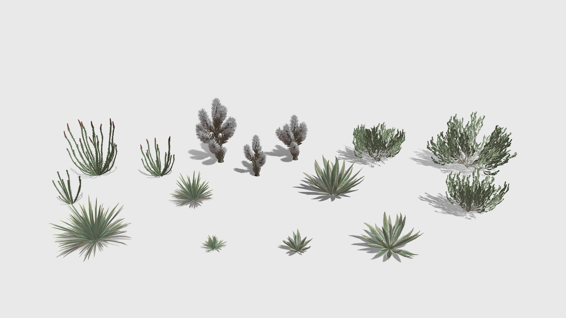 Desert Shrubs 3d model