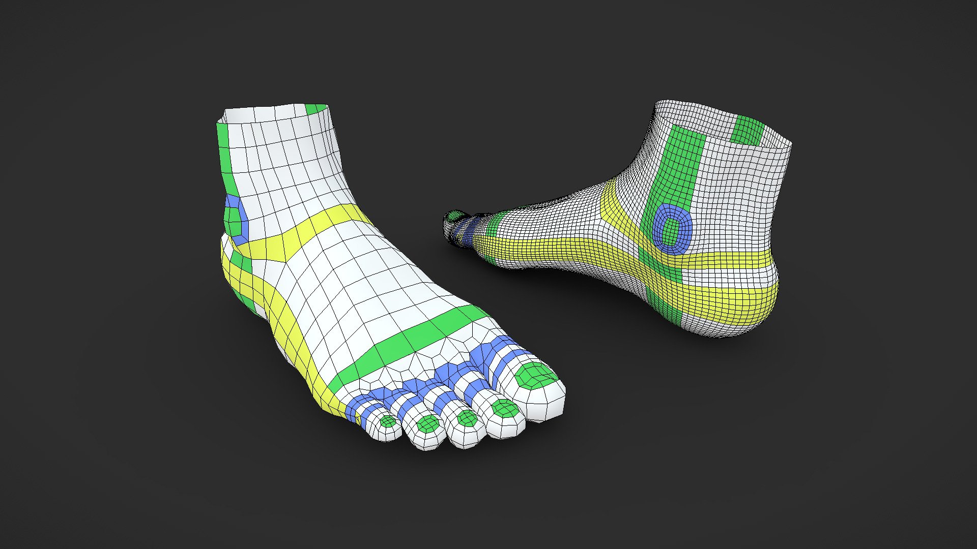 Foot Topology Study 3d model