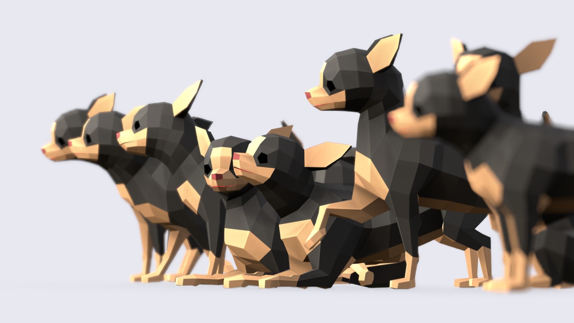 Low Poly Chihuahua Dog 3d model