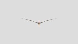 Pteranodon