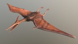 Pterodactyl