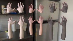 Leap Motion Realistic Female Hands Asset