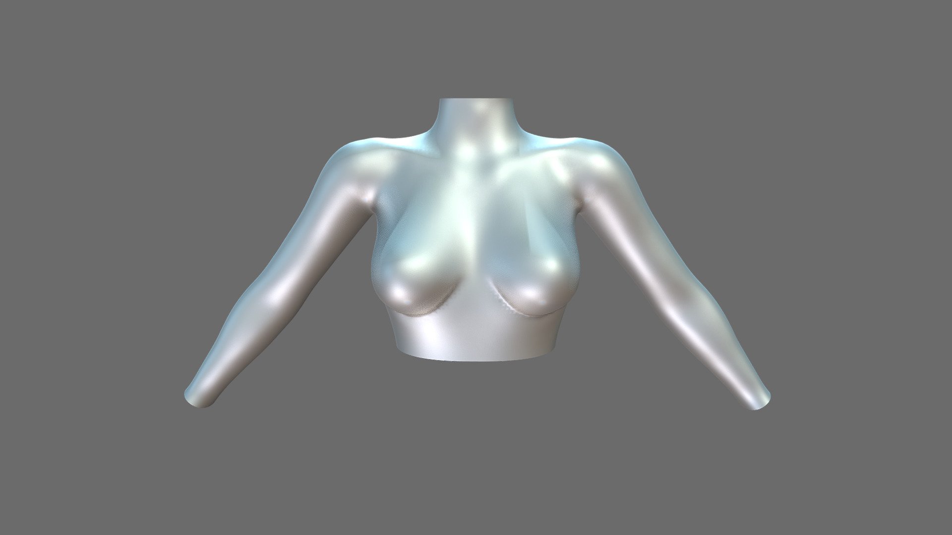 Female Turtle Neck Matalic Silver Top 3d model