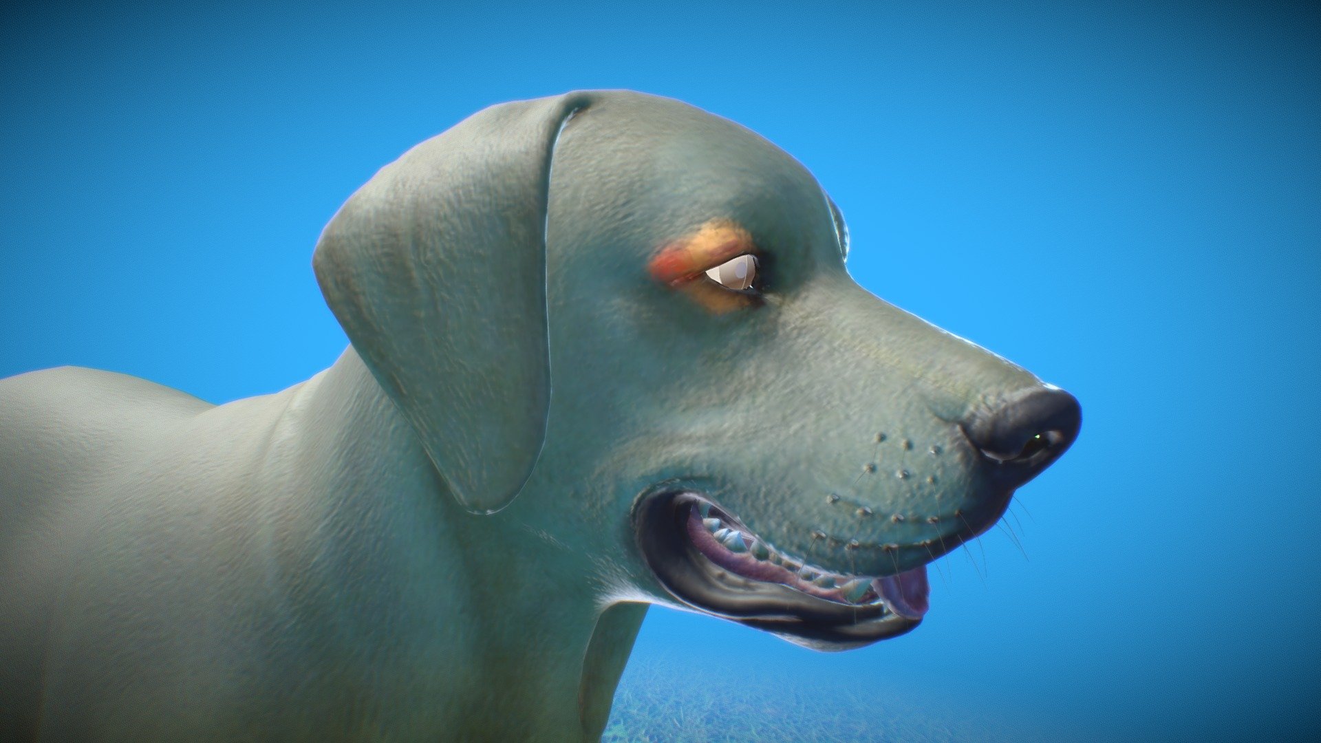 Dog´s eye anatomy 3d model