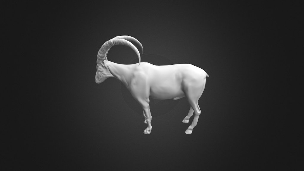 GOAT WIP 3d model