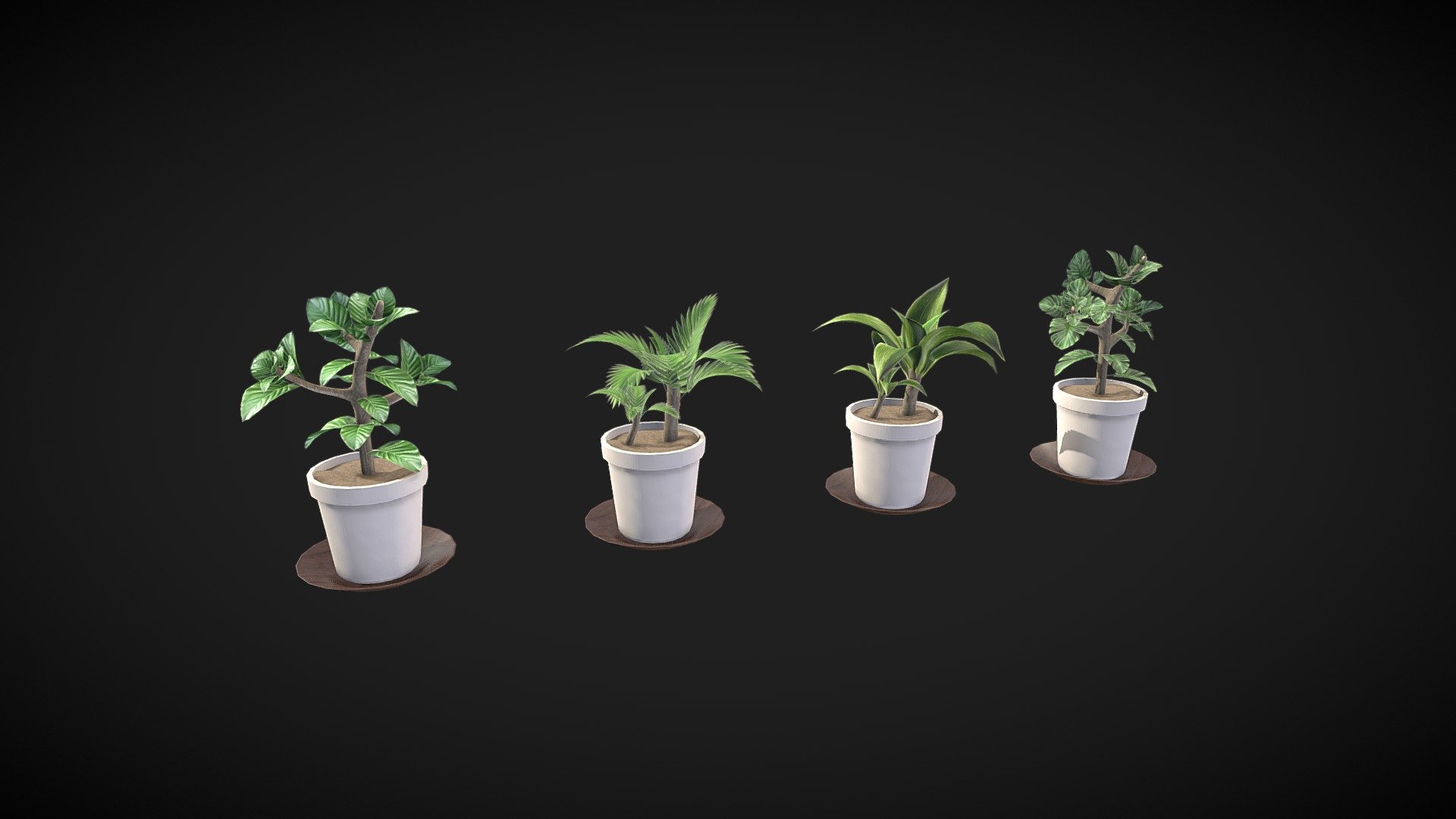 Small Plant 3d model