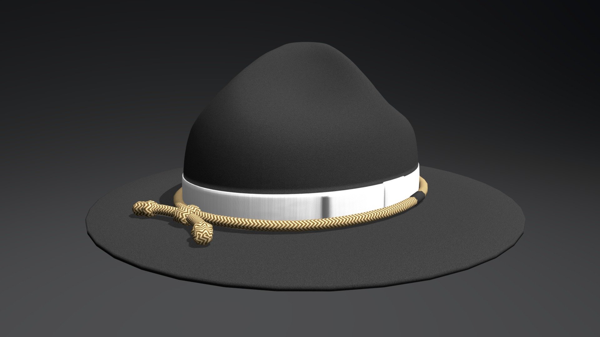 Campaign Hat (Dark Grey) 3d model