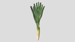 Leek Low Poly PBR Realistic