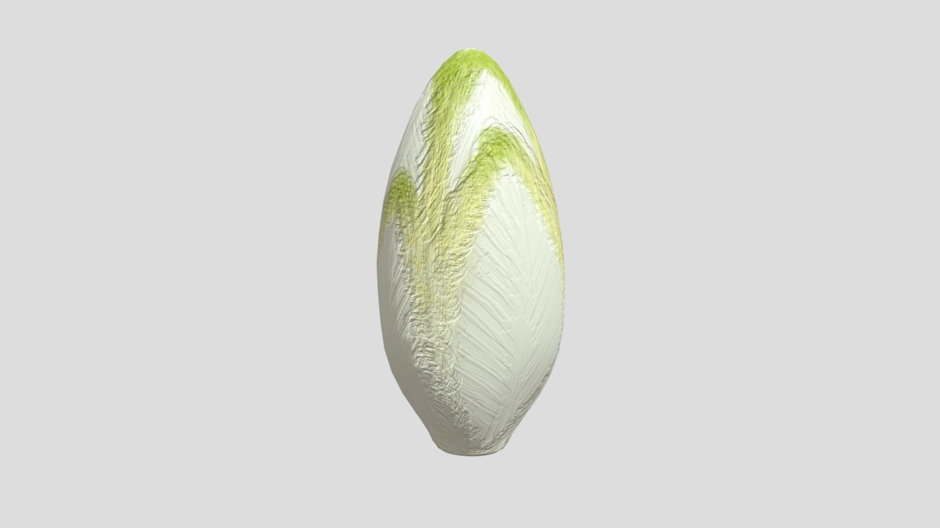 Endive 3d model