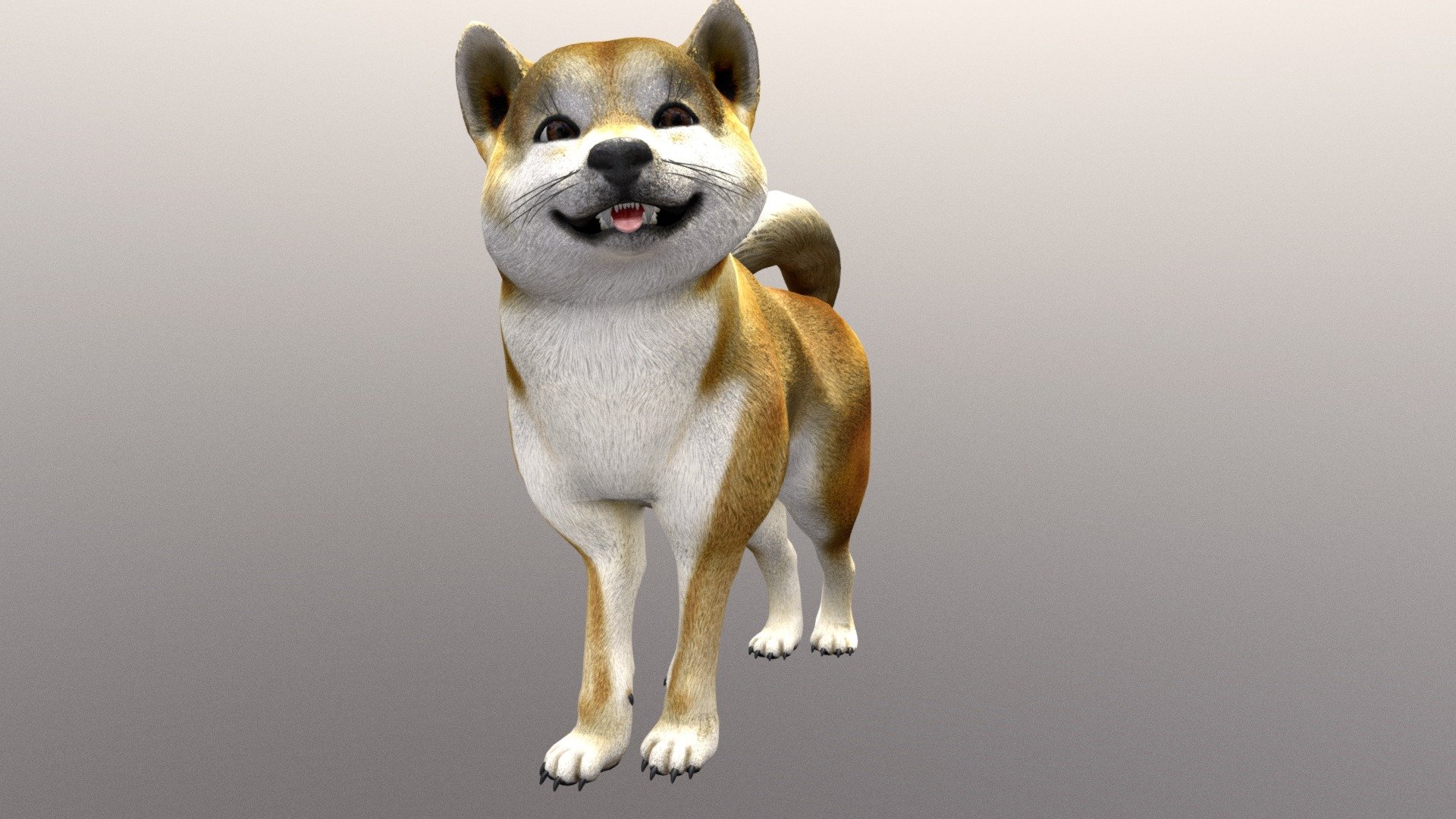 Playful Dog 3d model