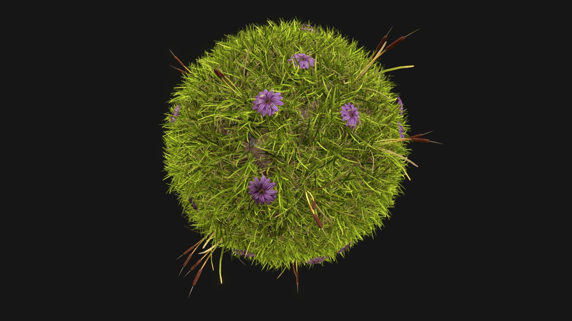 Particle Flow (PFlow) grass 3d model