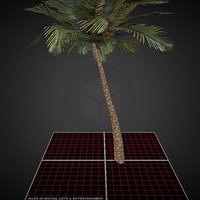 Palm_Tree